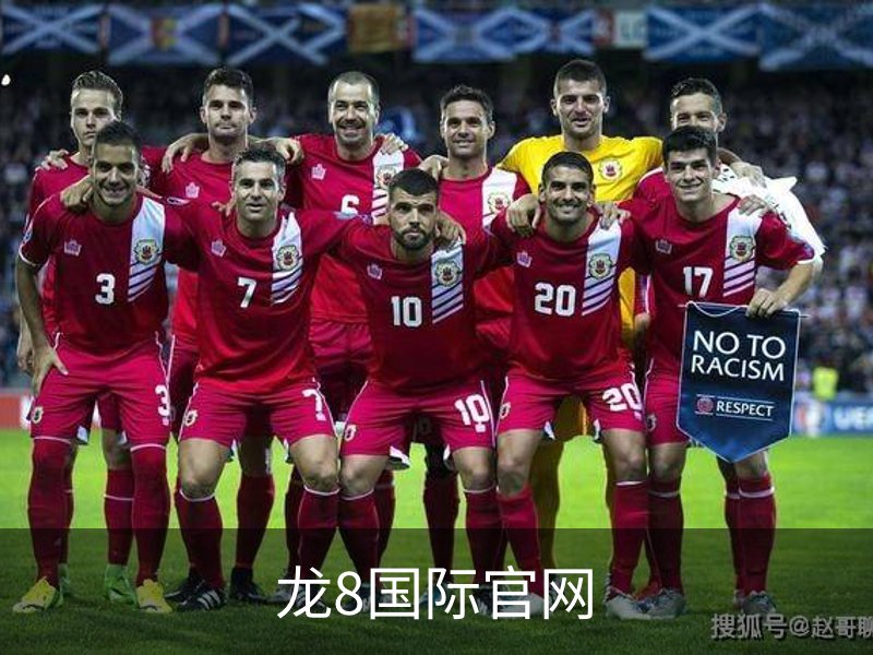 龙8国际官网概况